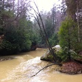 Swift Camp Creek Trail - 4.jpg